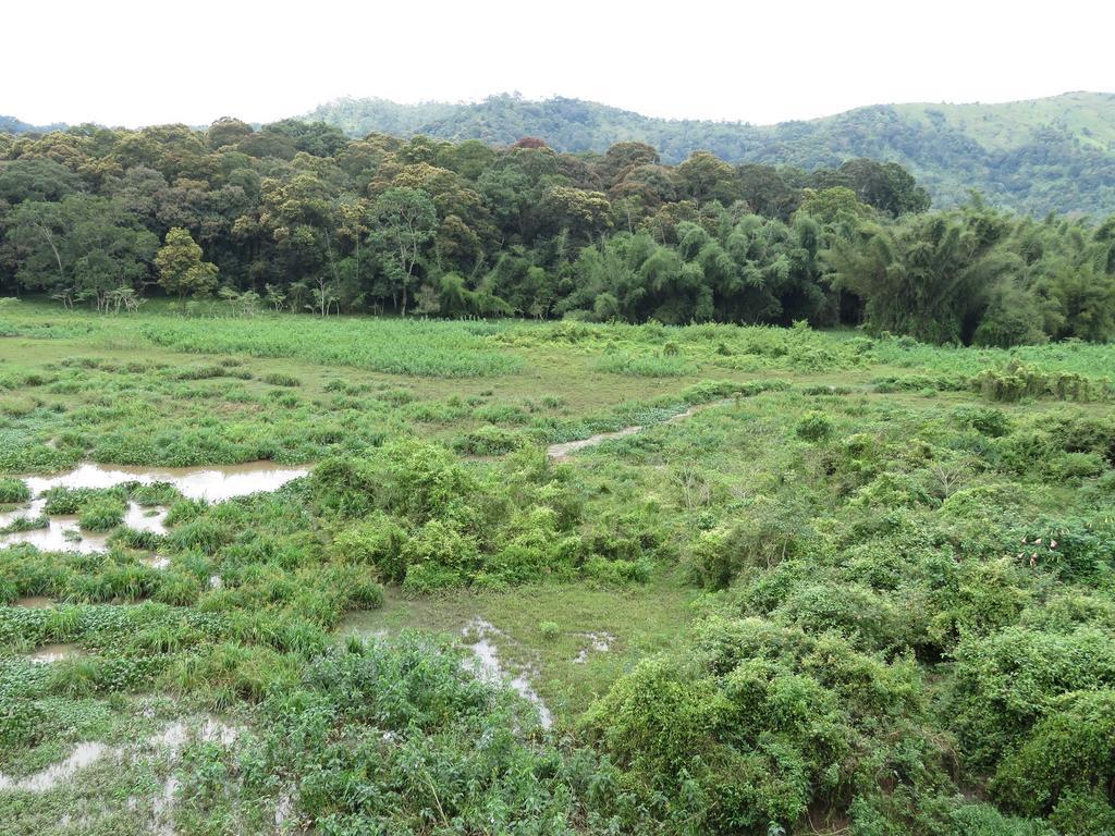 Jungle Palace Homestay Thekkady Buitenkant foto