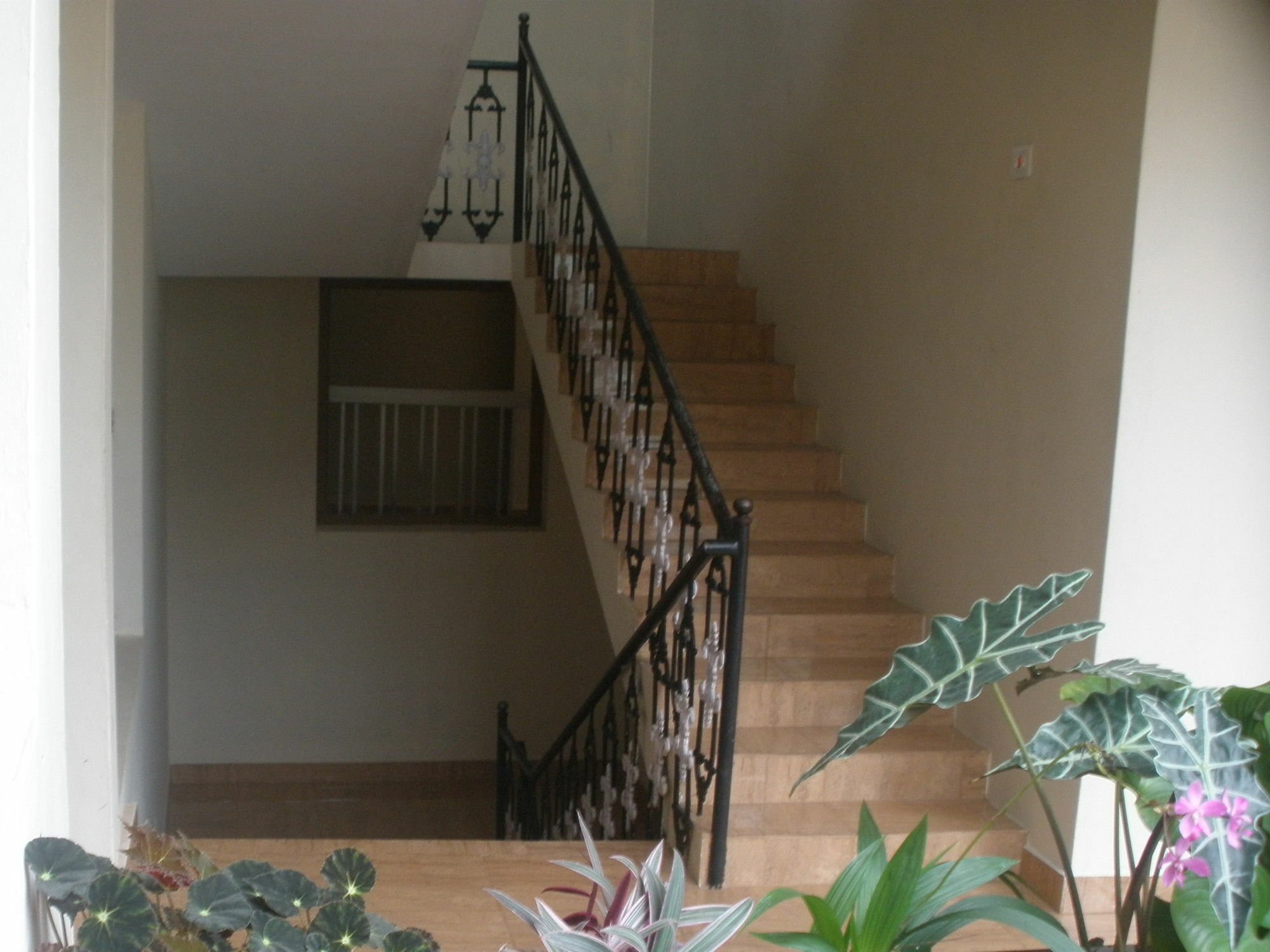 Jungle Palace Homestay Thekkady Buitenkant foto